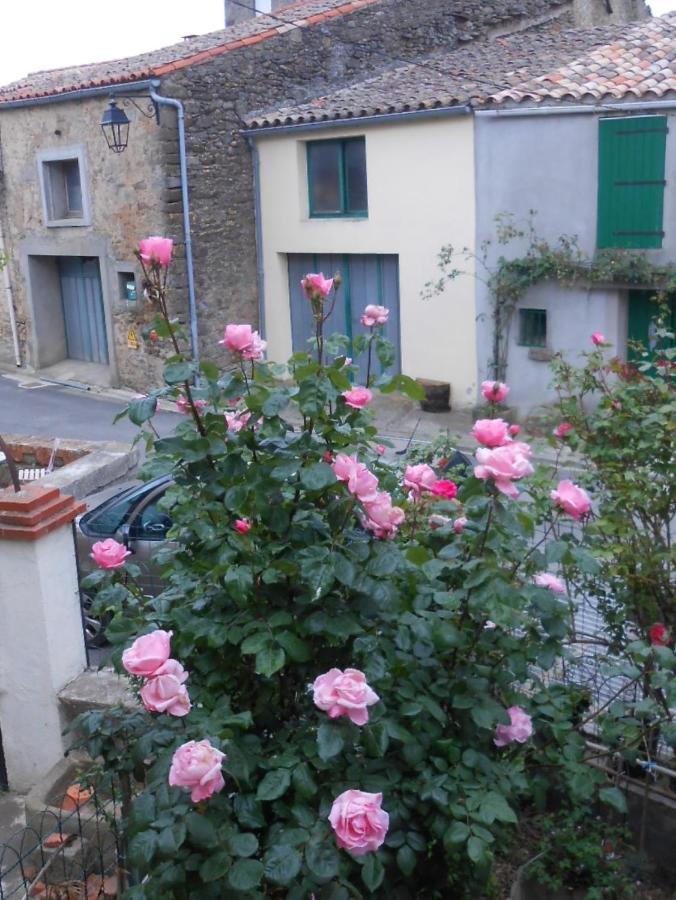 Maison Palmeral Coustaussa Bagian luar foto