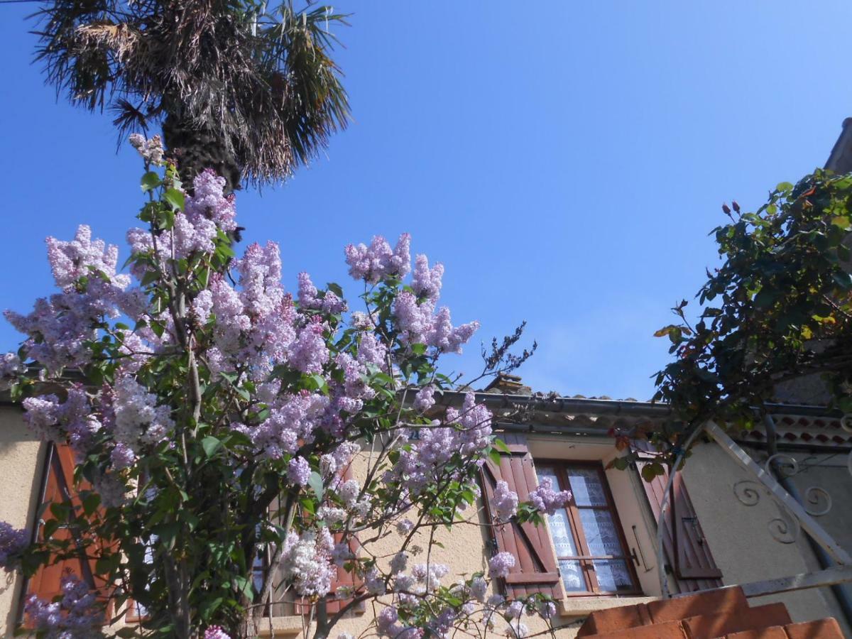 Maison Palmeral Coustaussa Bagian luar foto