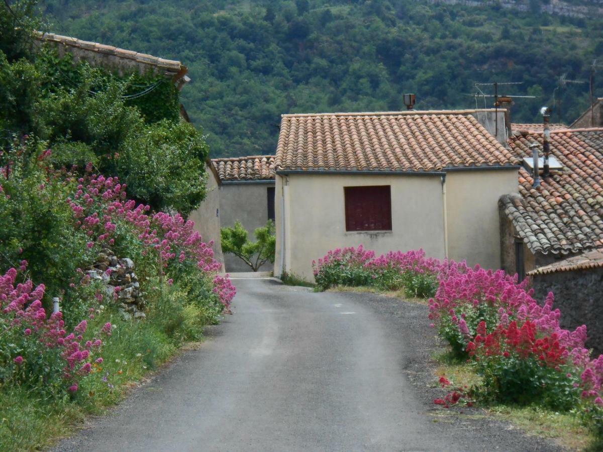 Maison Palmeral Coustaussa Bagian luar foto